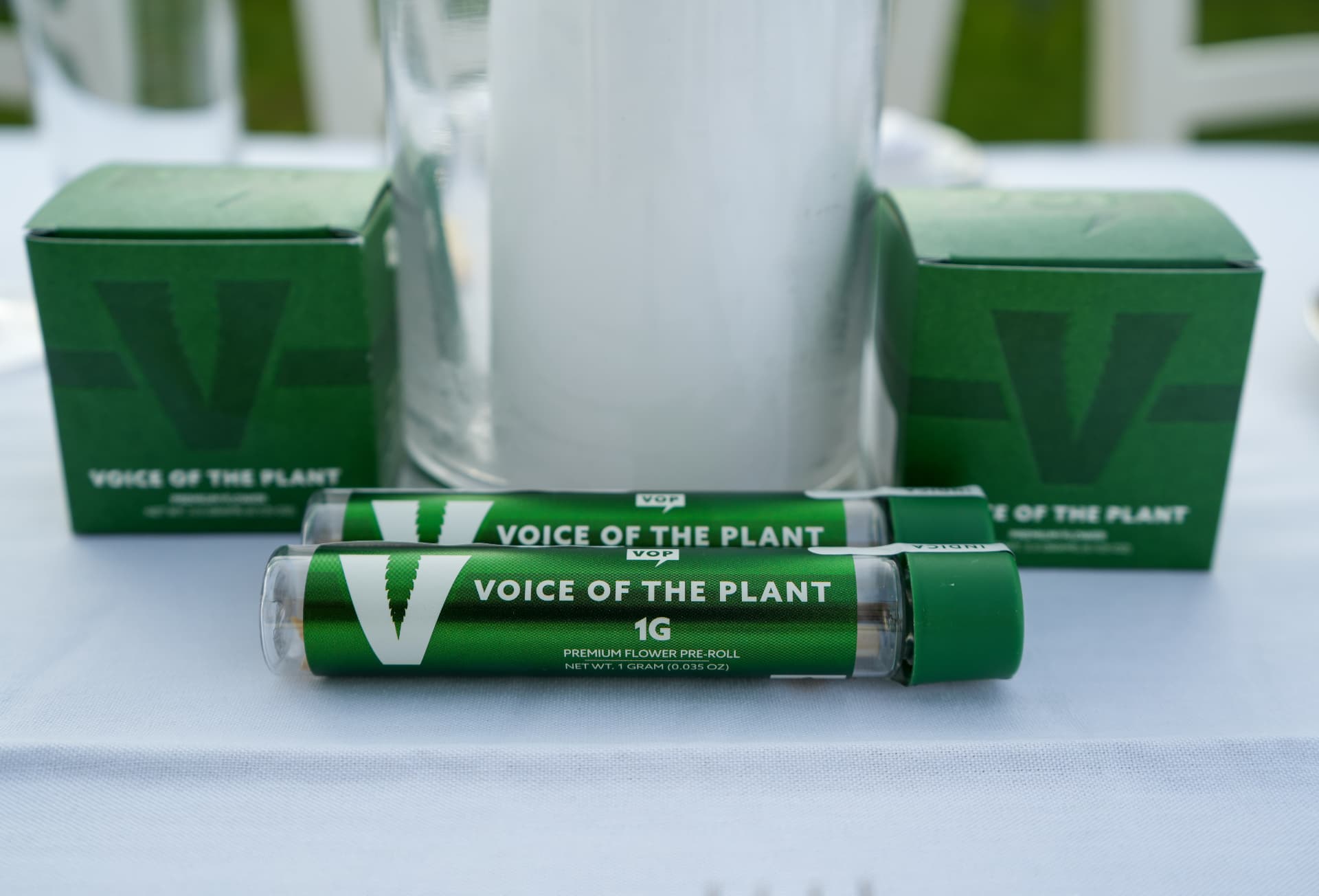 Voice of the Planet product detail on the dinner table